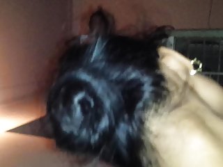 ហ្គេមនាគអាមេរិកសិចឥណ្ឌាពេញវ័យស្ត្រីនិងក្មេងប្រុសសិច